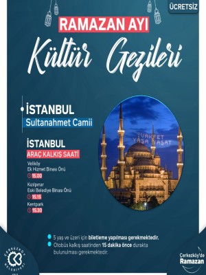 İSTANBUL SULTANAHMET CAMİİ GEZİSİ (GÜNÜBİRLİK)